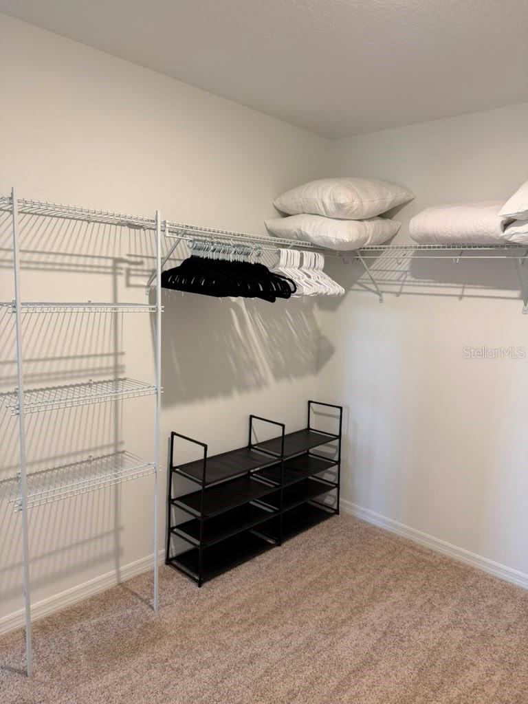 17658 JAPONICA BLOOM DR, WINTER GARDEN, FL — photo 26