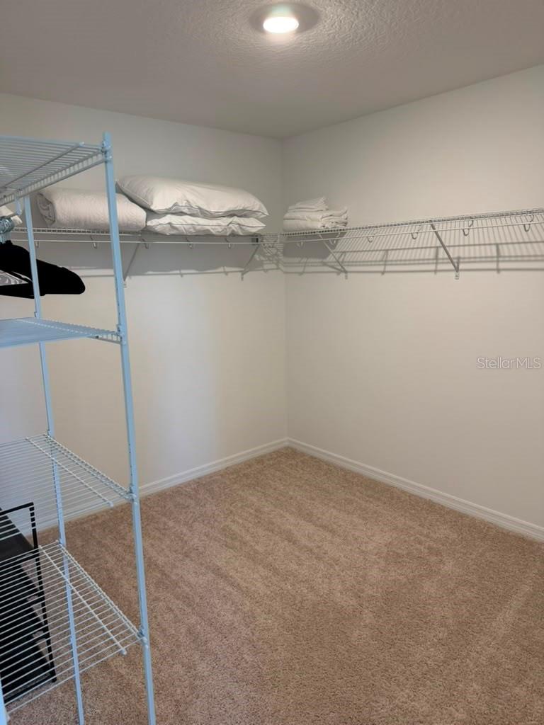 17658 JAPONICA BLOOM DR, WINTER GARDEN, FL — photo 27