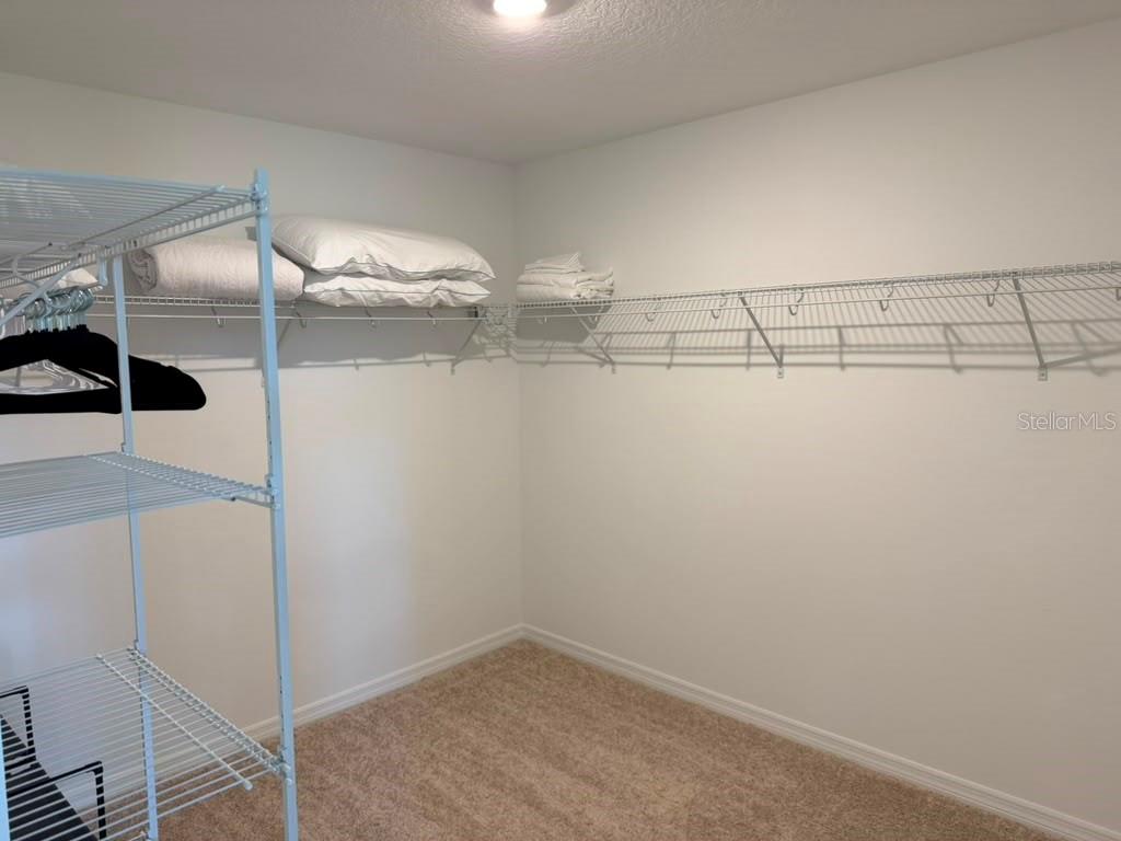 17658 JAPONICA BLOOM DR, WINTER GARDEN, FL — photo 28