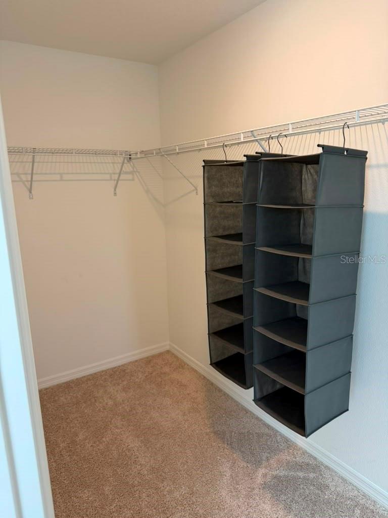 17658 JAPONICA BLOOM DR, WINTER GARDEN, FL — photo 31