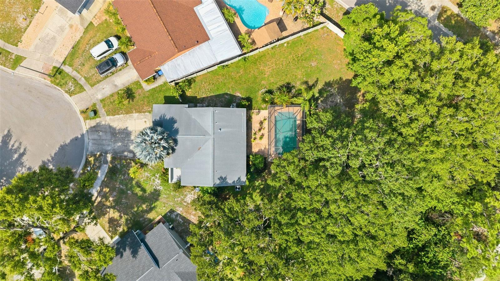 12614 LOGAN PL, TAMPA, FL — photo 43