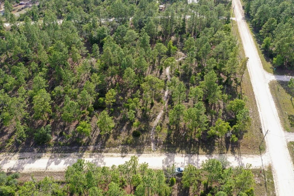 0000 NE 132 TERRACE LOT 1 TER, WILLISTON, FL — photo 2