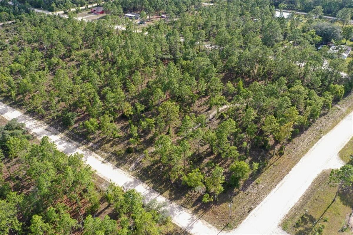 0000 NE 132 TERRACE LOT 1 TER, WILLISTON, FL — photo 3