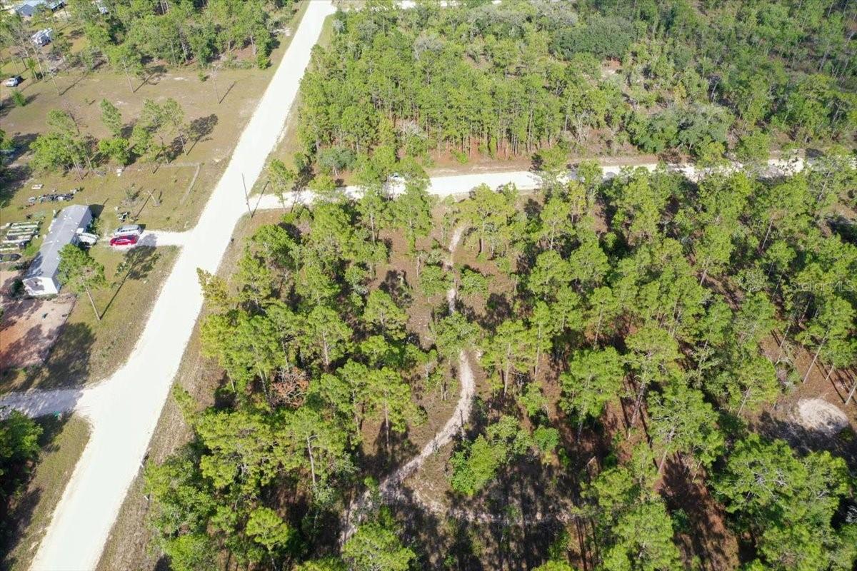 0000 NE 132 TERRACE LOT 1 TER, WILLISTON, FL — photo 6