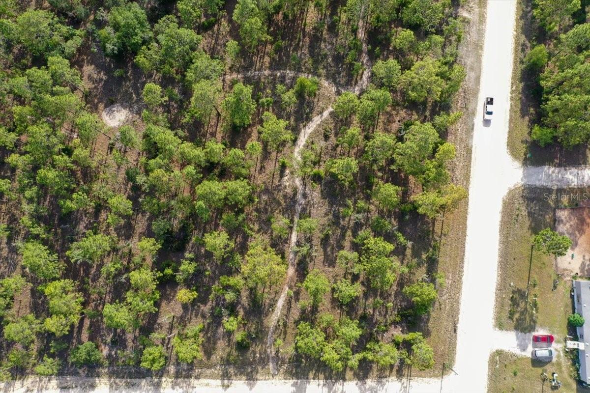 0000 NE 132 TERRACE LOT 1 TER, WILLISTON, FL — photo 10