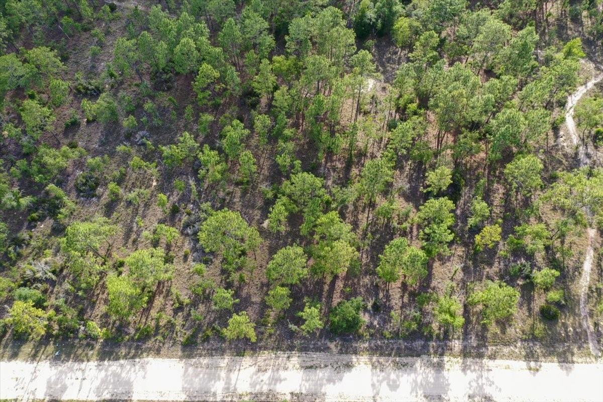 0000 NE 132 TERRACE LOT 2 TER, WILLISTON, FL — photo 2