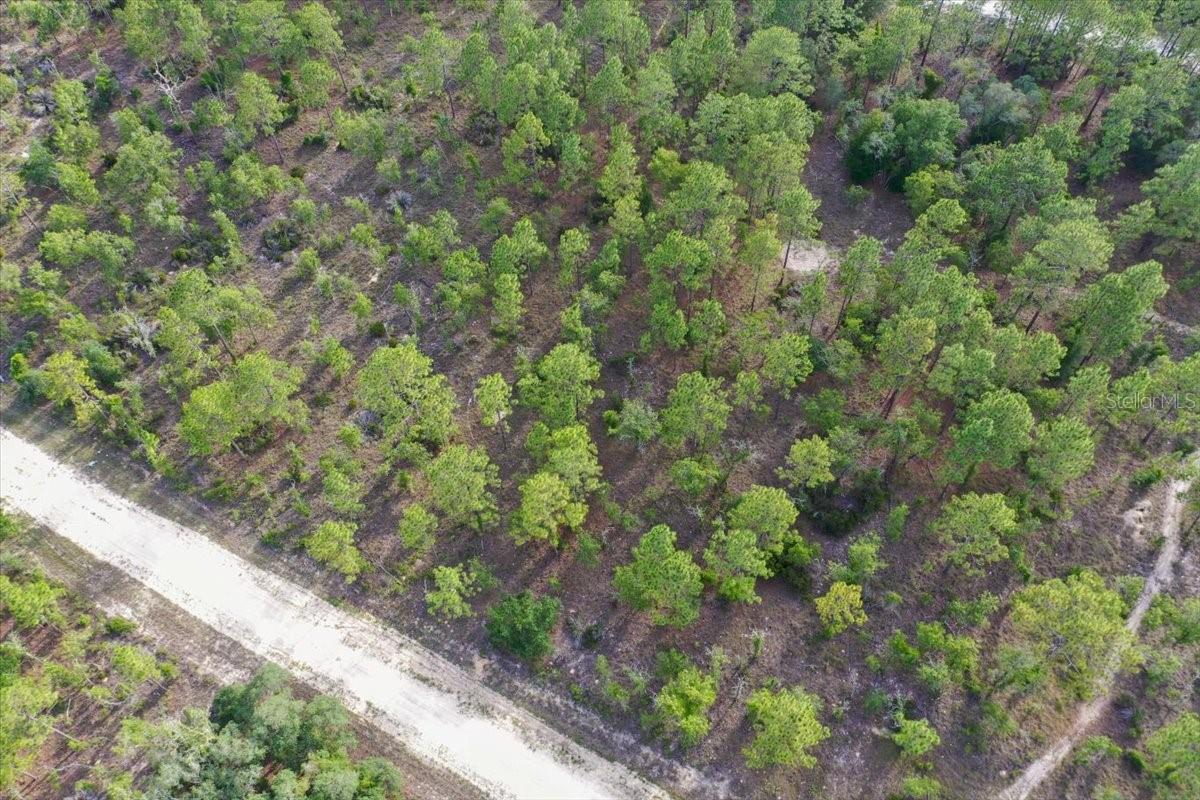 0000 NE 132 TERRACE LOT 2 TER, WILLISTON, FL — photo 3