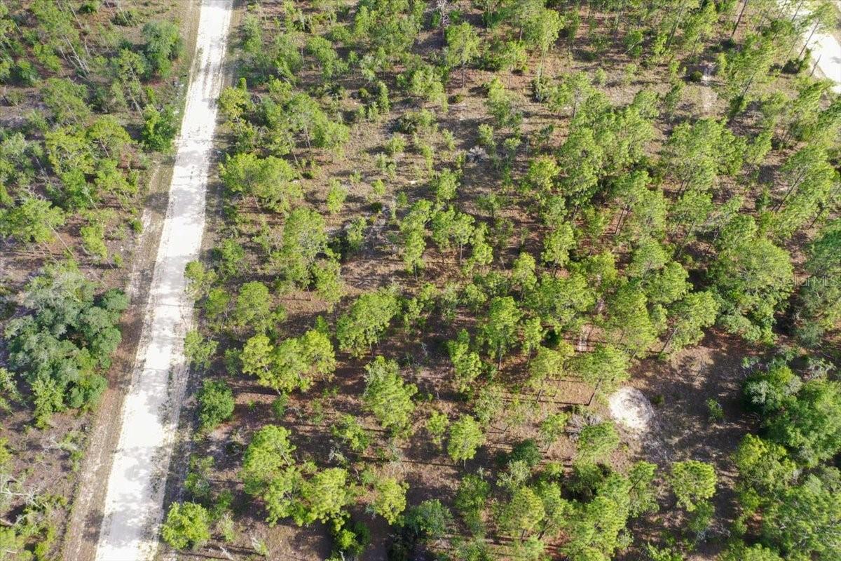 0000 NE 132 TERRACE LOT 2 TER, WILLISTON, FL — photo 4