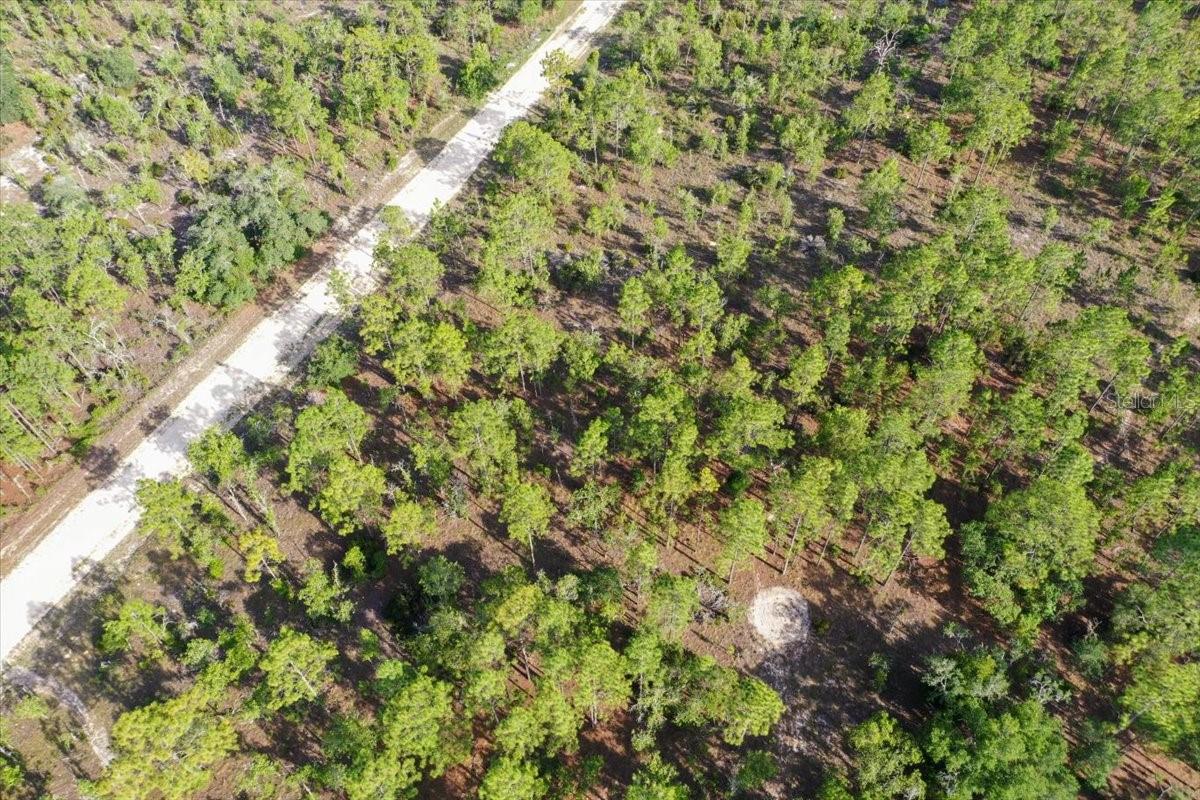 0000 NE 132 TERRACE LOT 2 TER, WILLISTON, FL — photo 5