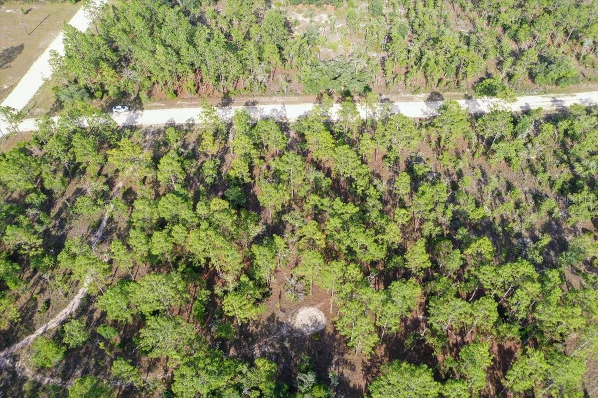 0000 NE 132 TERRACE LOT 2 TER, WILLISTON, FL — photo 6