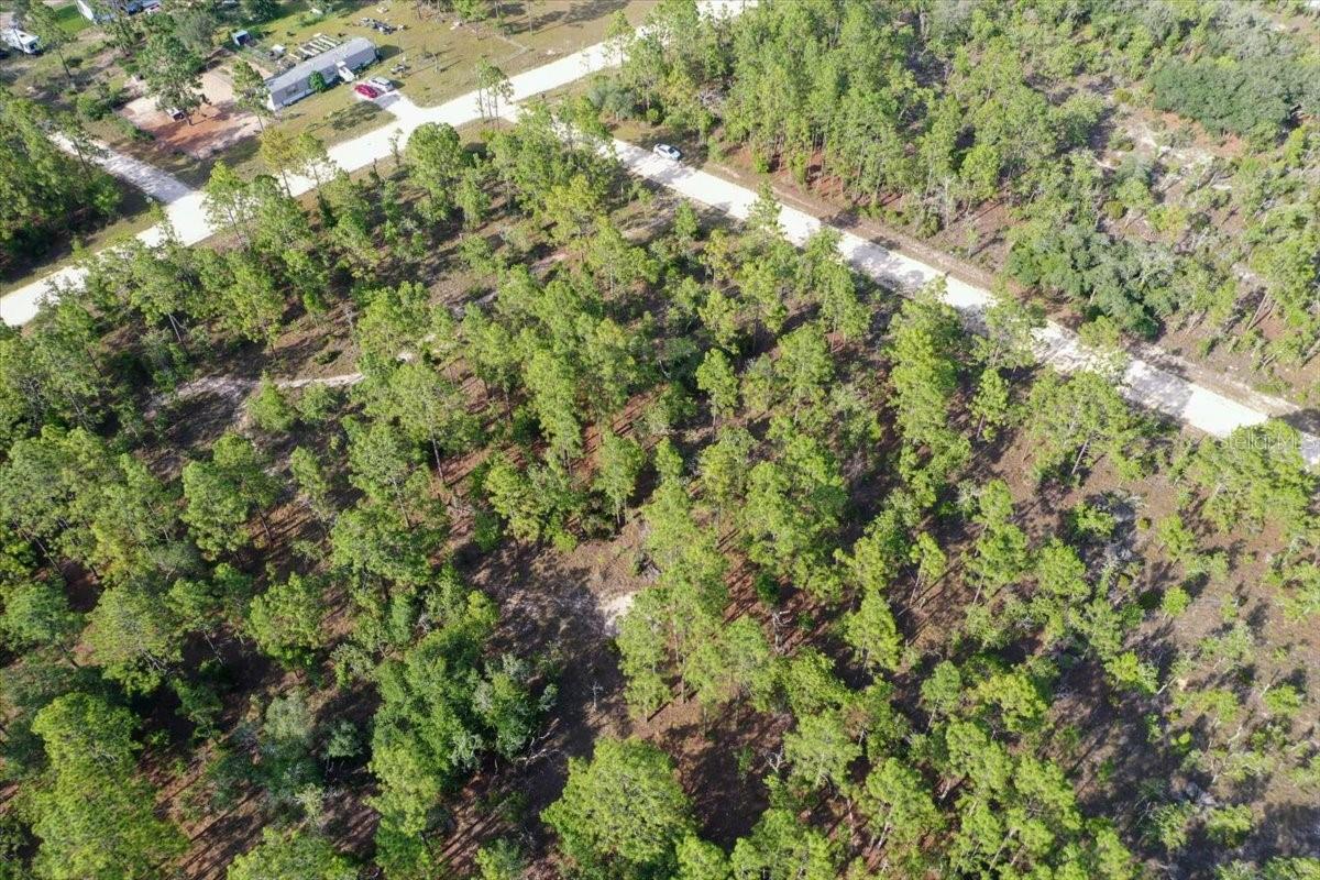 0000 NE 132 TERRACE LOT 2 TER, WILLISTON, FL — photo 7