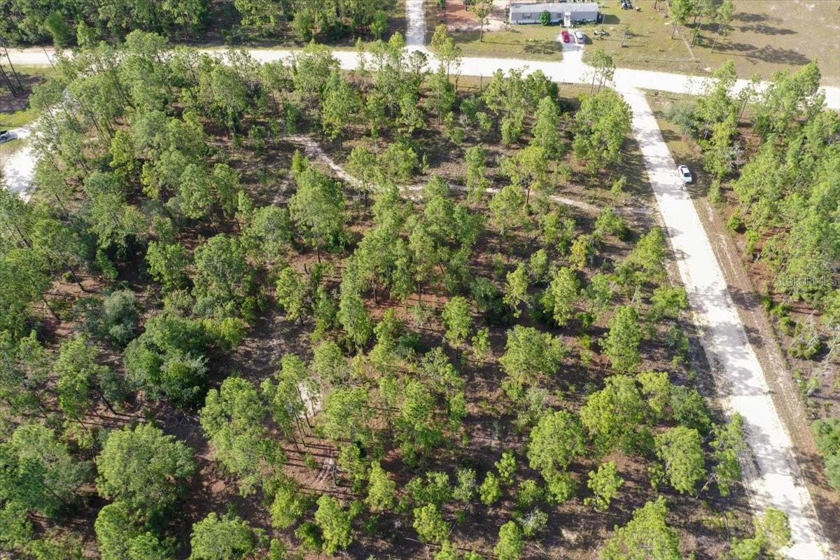 0000 NE 132 TERRACE LOT 2 TER, WILLISTON, FL — photo 8