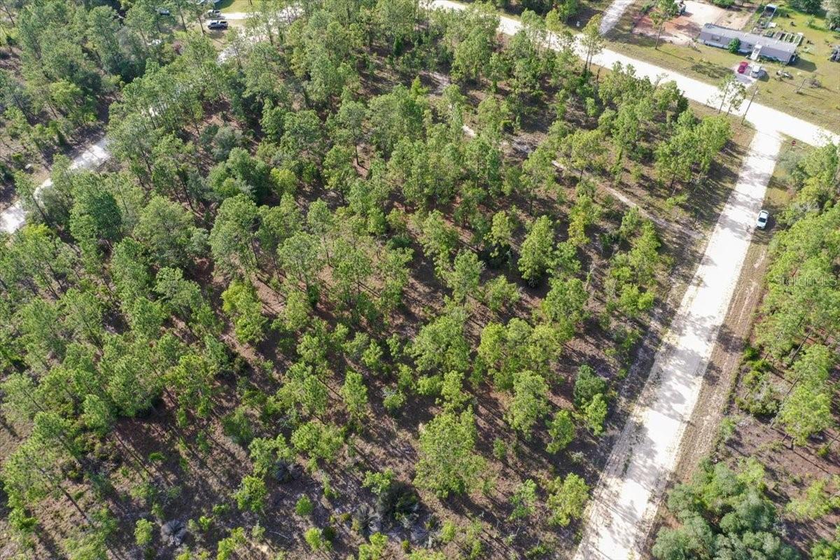 0000 NE 132 TERRACE LOT 2 TER, WILLISTON, FL — photo 9