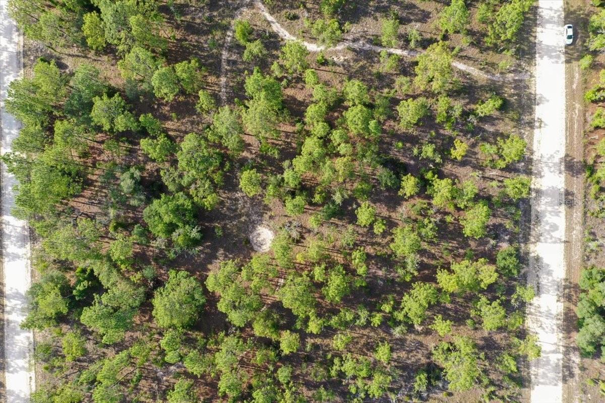 0000 NE 132 TERRACE LOT 2 TER, WILLISTON, FL — photo 10