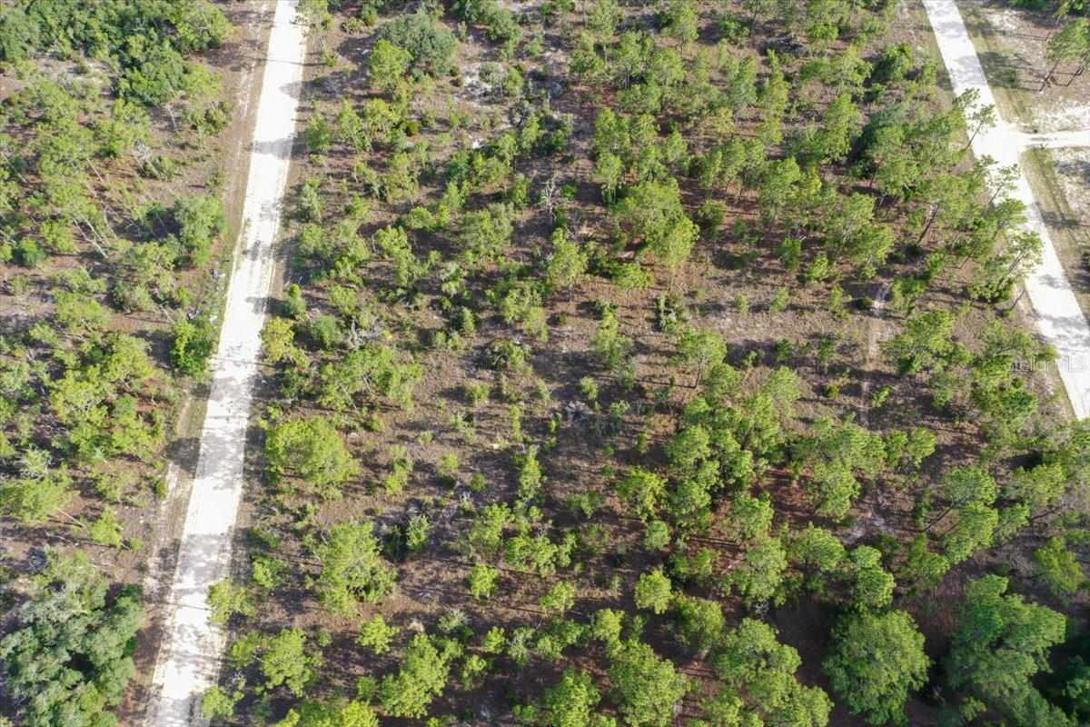 0000 NE 132 TERRACE LOT 3 TER, WILLISTON, FL — photo 2