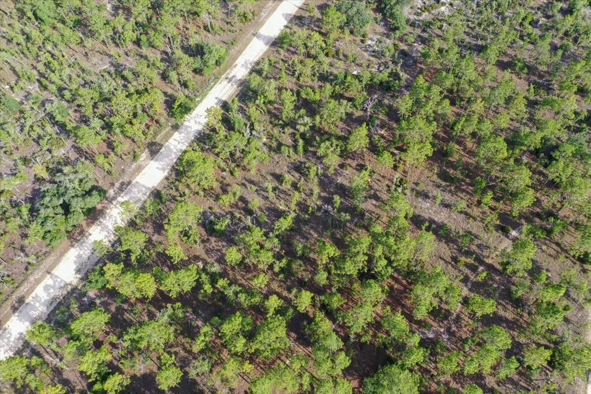 0000 NE 132 TERRACE LOT 3 TER, WILLISTON, FL — photo 3