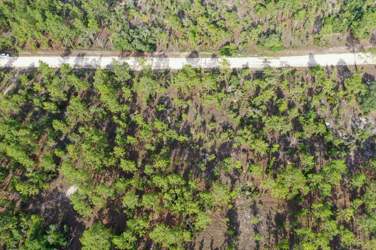 0000 NE 132 TERRACE LOT 3 TER, WILLISTON, FL — photo 4