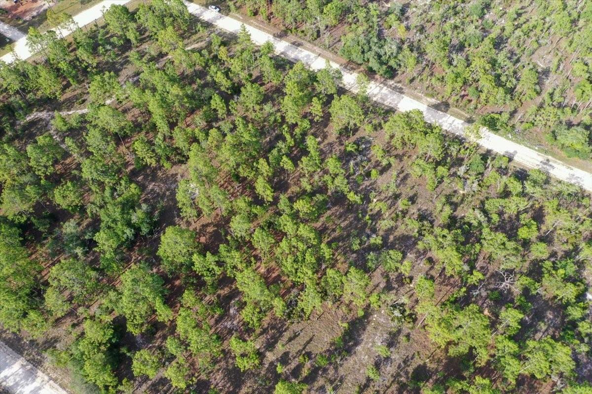 0000 NE 132 TERRACE LOT 3 TER, WILLISTON, FL — photo 5