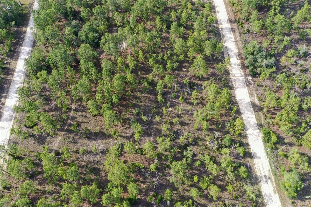 0000 NE 132 TERRACE LOT 3 TER, WILLISTON, FL — photo 6