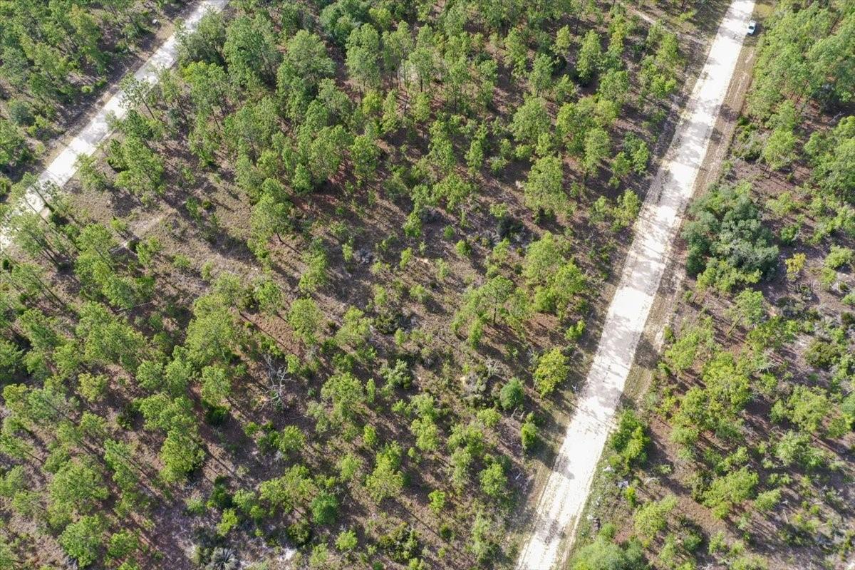 0000 NE 132 TERRACE LOT 3 TER, WILLISTON, FL — photo 7