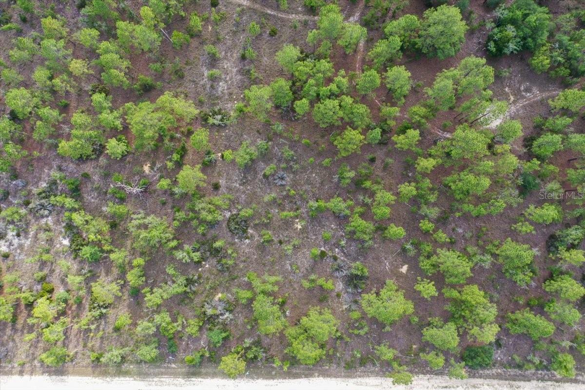 0000 NE 132 TERRACE LOT 3 TER, WILLISTON, FL — photo 9
