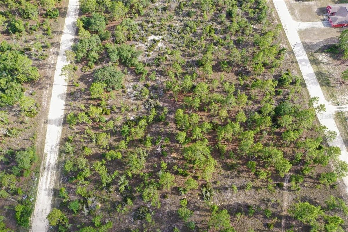 0000 NE 132 TERRACE LOT 4 TER, WILLISTON, FL — photo 2