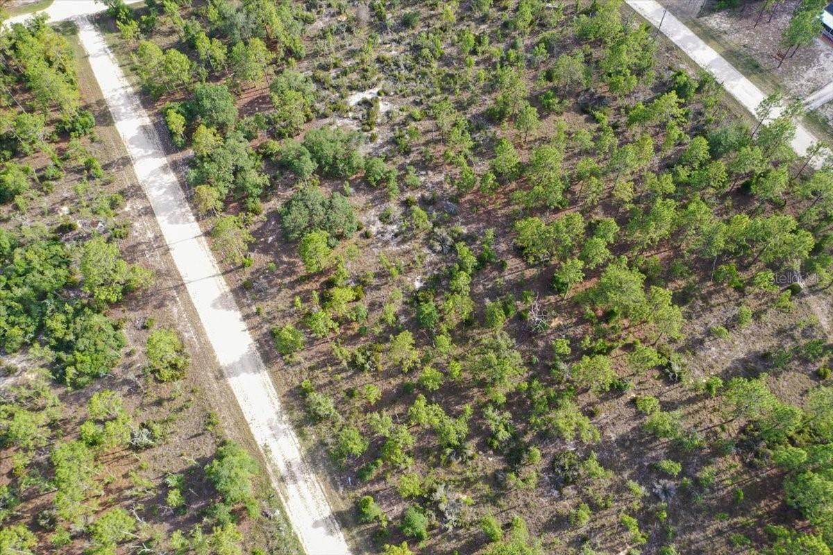 0000 NE 132 TERRACE LOT 4 TER, WILLISTON, FL — photo 3