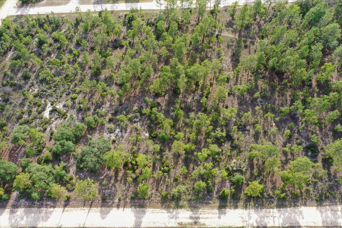 0000 NE 132 TERRACE LOT 4 TER, WILLISTON, FL — photo 4