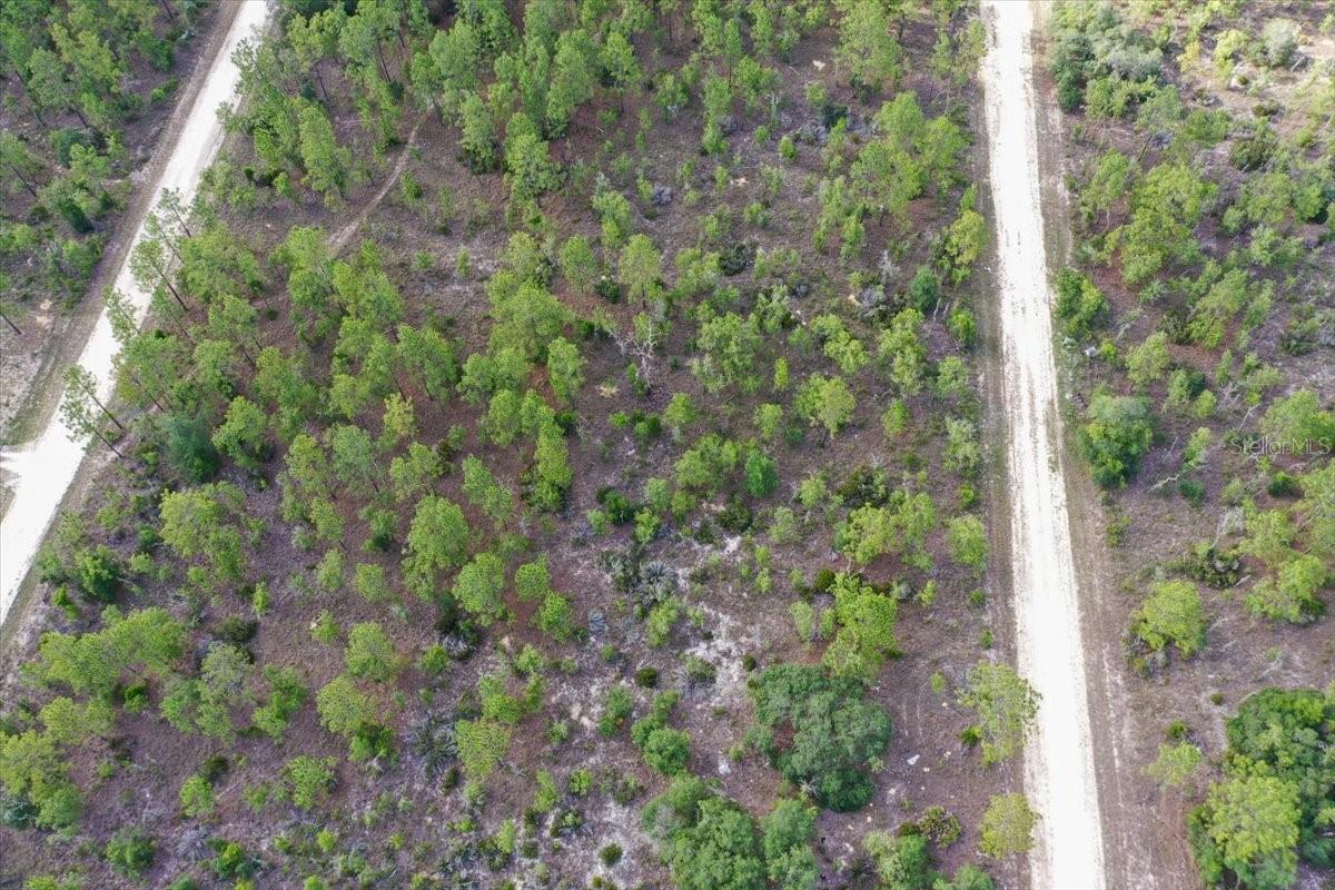 0000 NE 132 TERRACE LOT 4 TER, WILLISTON, FL — photo 5
