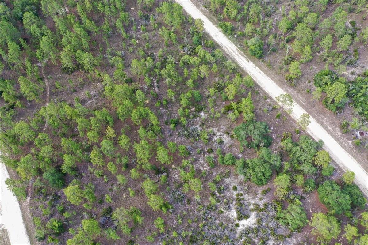 0000 NE 132 TERRACE LOT 4 TER, WILLISTON, FL — photo 6