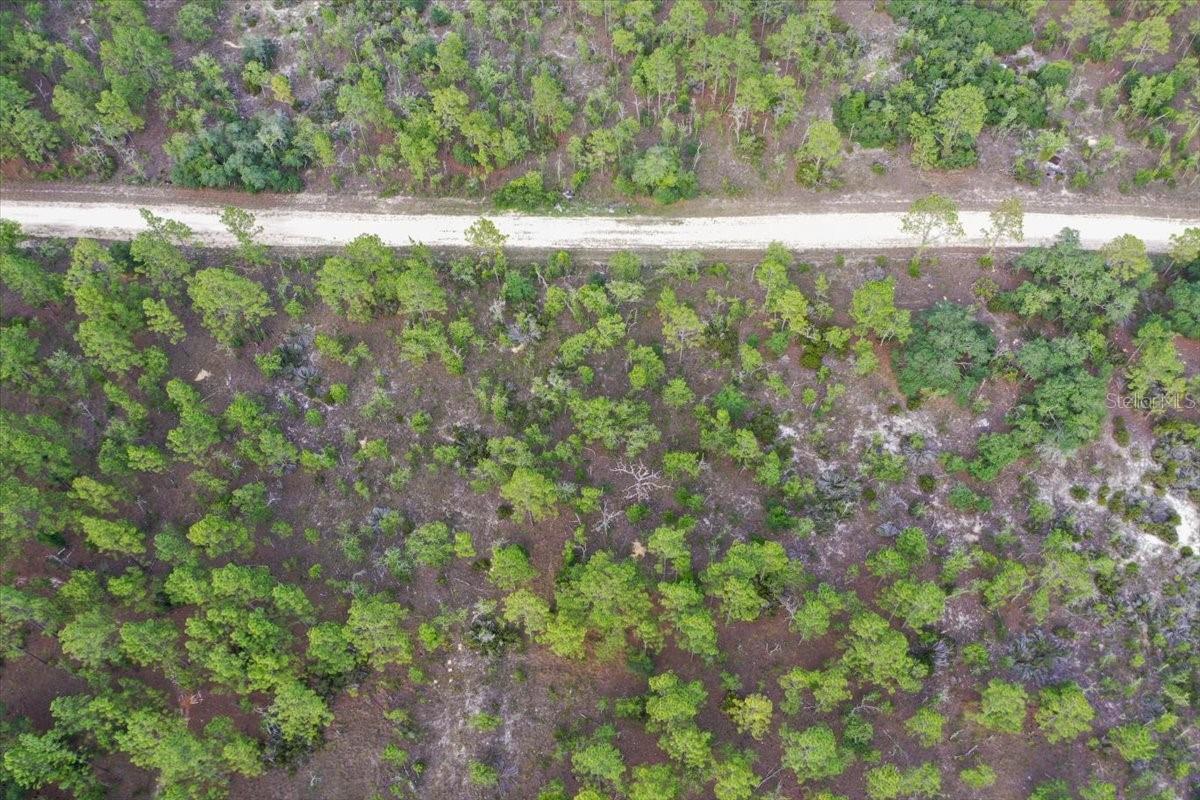 0000 NE 132 TERRACE LOT 4 TER, WILLISTON, FL — photo 7