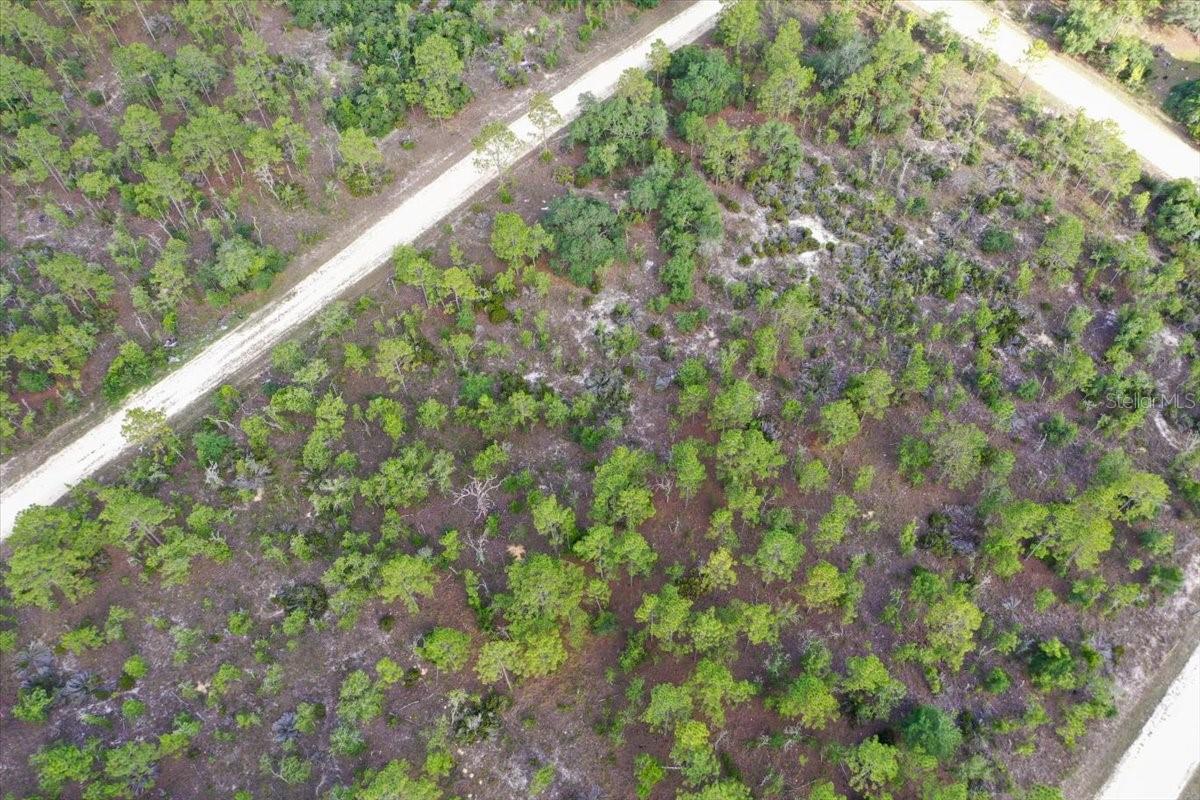 0000 NE 132 TERRACE LOT 4 TER, WILLISTON, FL — photo 8