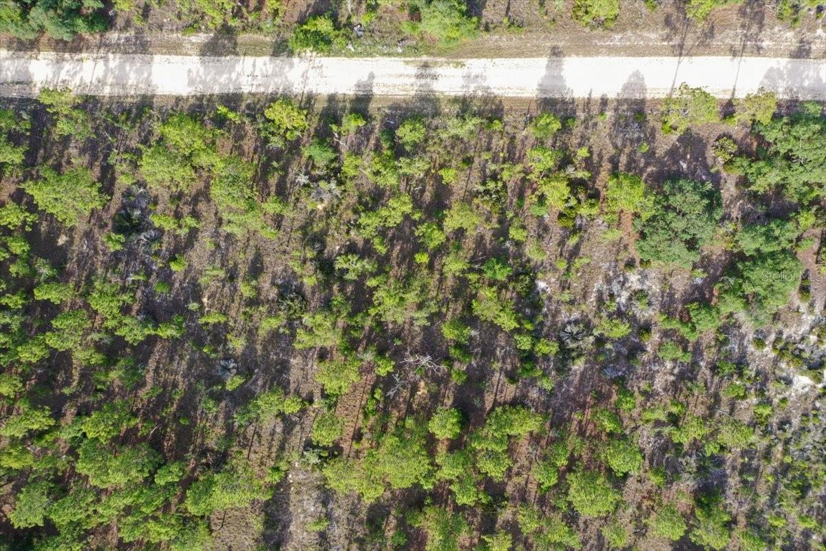 0000 NE 132 TERRACE LOT 4 TER, WILLISTON, FL — photo 9