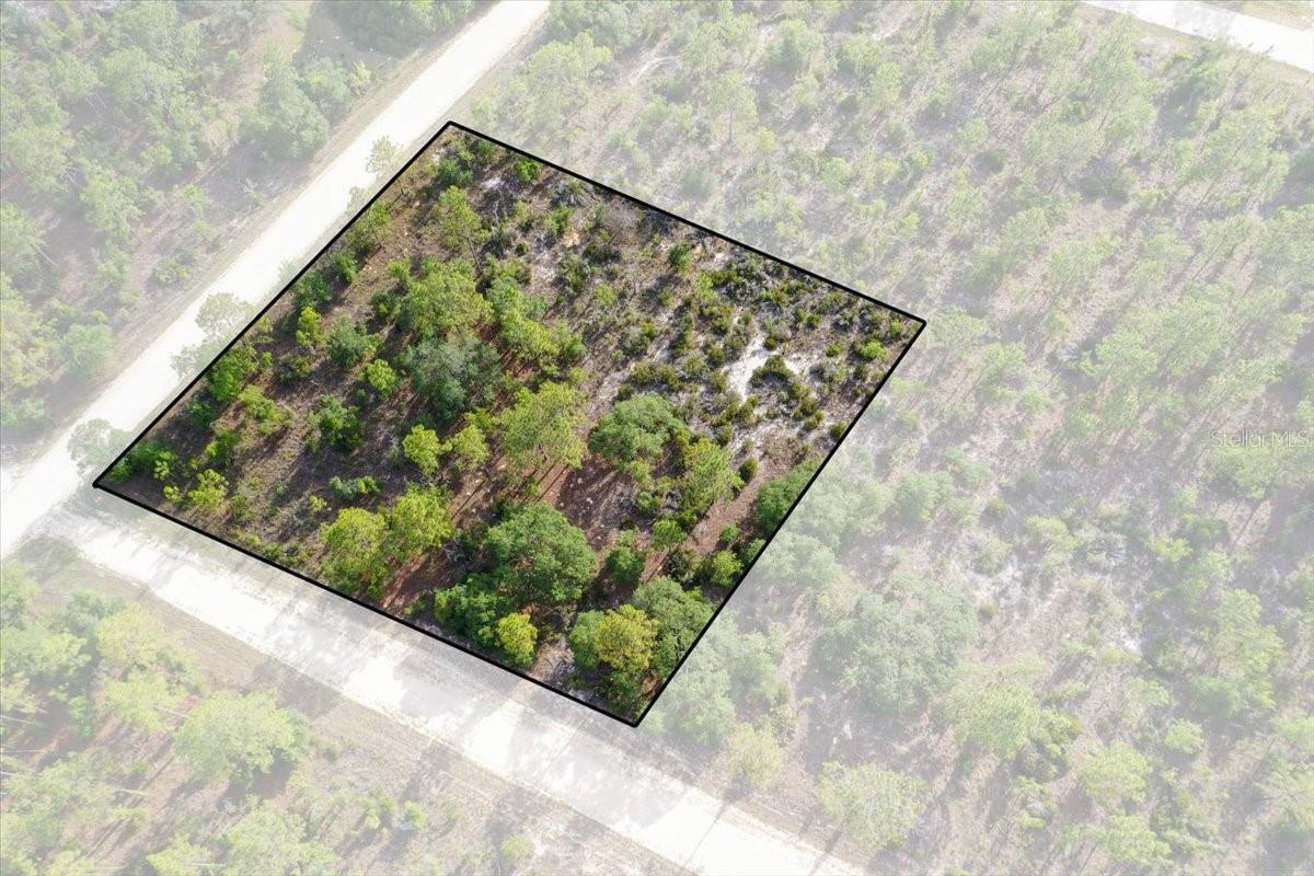 0000 NE 132 TERRACE LOT 5 TER, WILLISTON, FL