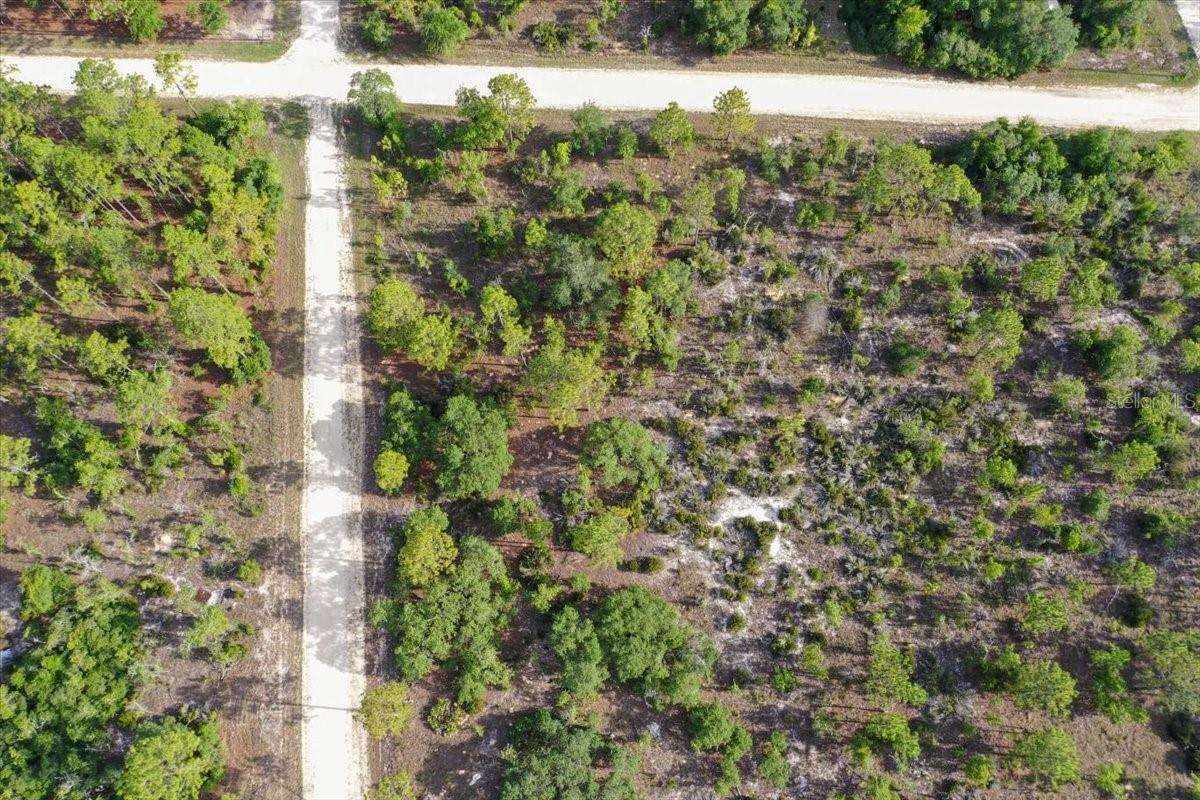 0000 NE 132 TERRACE LOT 5 TER, WILLISTON, FL — photo 2