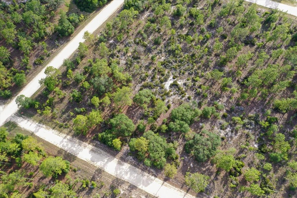 0000 NE 132 TERRACE LOT 5 TER, WILLISTON, FL — photo 3