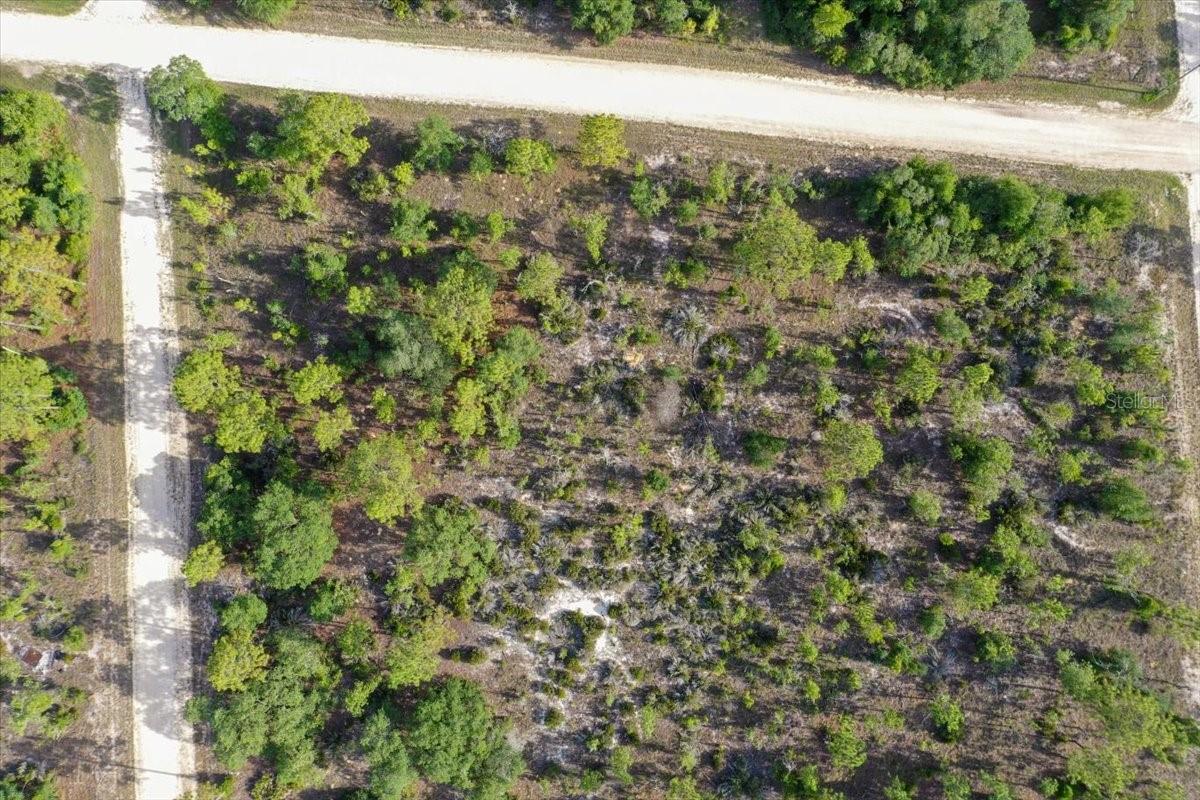 0000 NE 132 TERRACE LOT 5 TER, WILLISTON, FL — photo 12