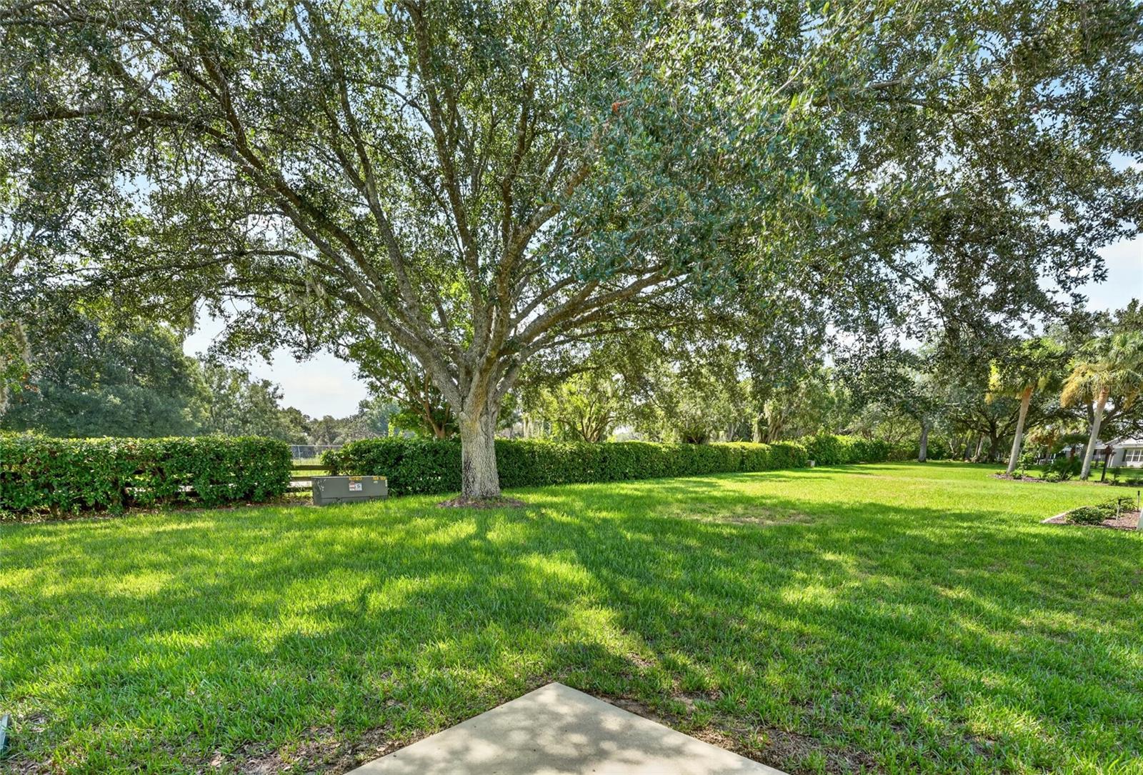 187 OLANTA DR, THE VILLAGES, FL — photo 62
