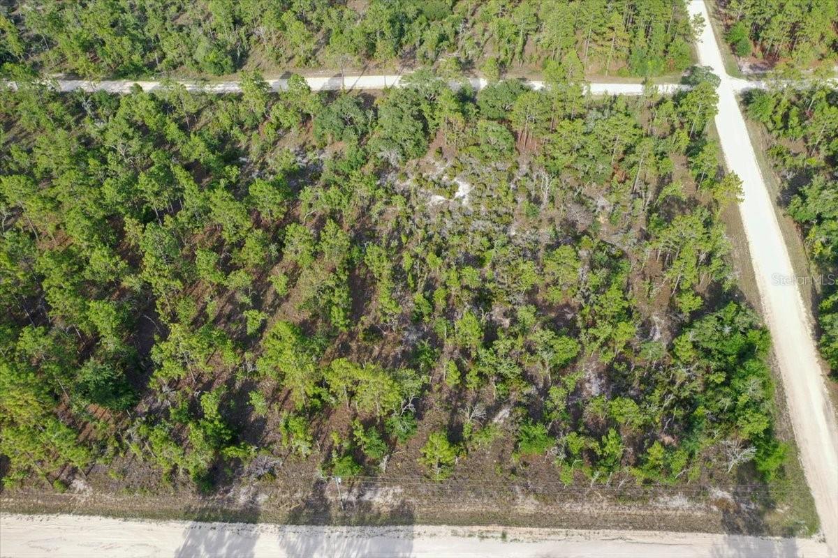 0000 NE 131 TERRACE LOT 6 TER, WILLISTON, FL — photo 2