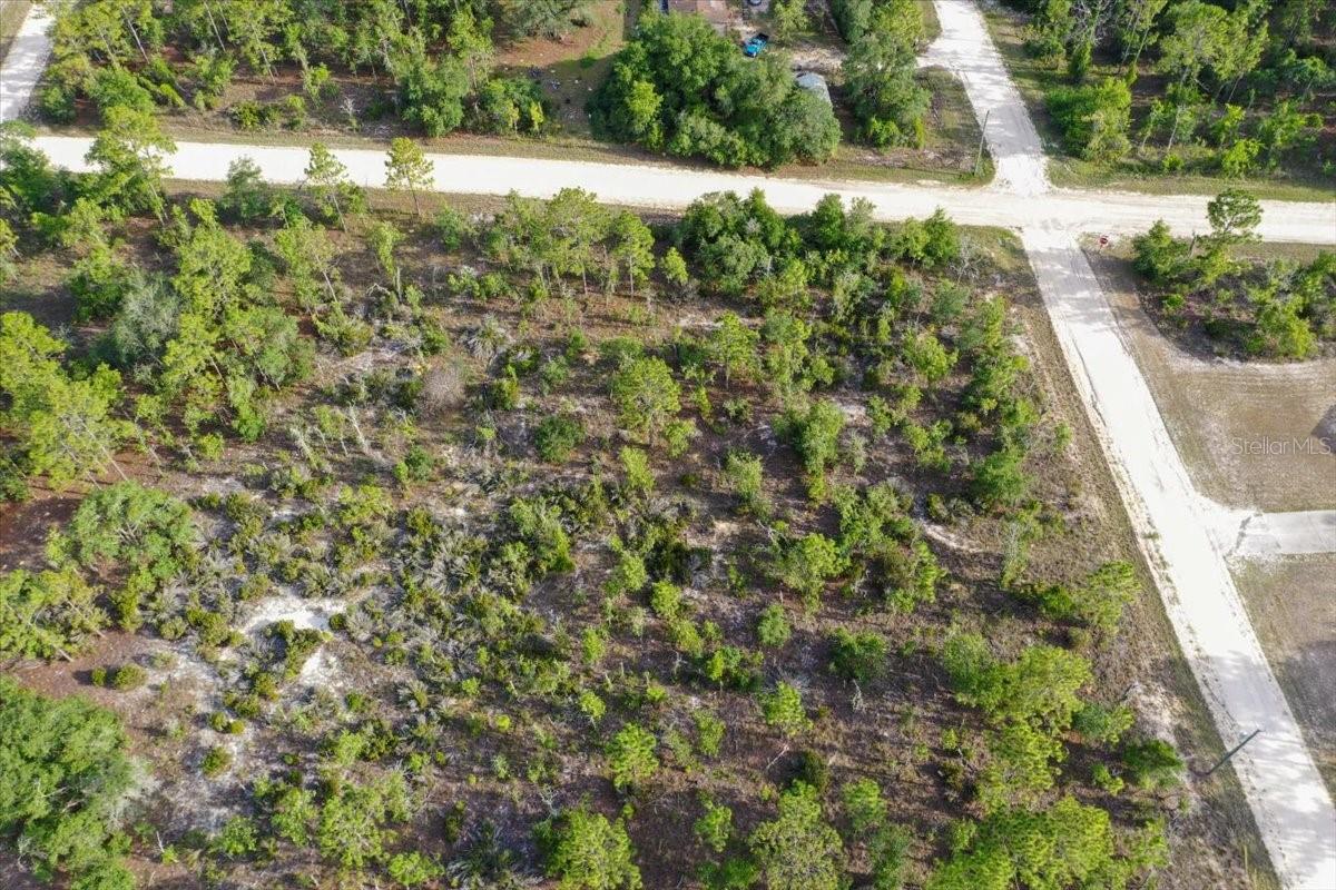0000 NE 131 TERRACE LOT 6 TER, WILLISTON, FL — photo 8
