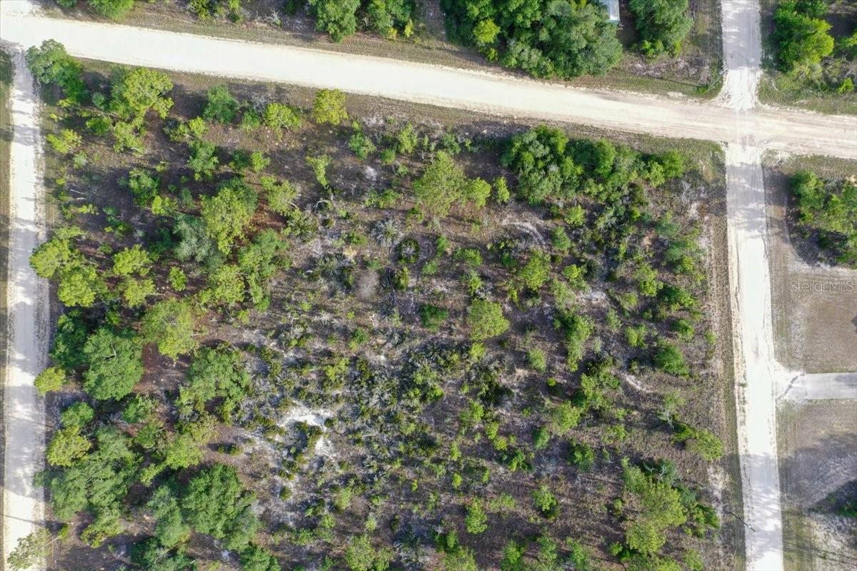 0000 NE 131 TERRACE LOT 6 TER, WILLISTON, FL — photo 9