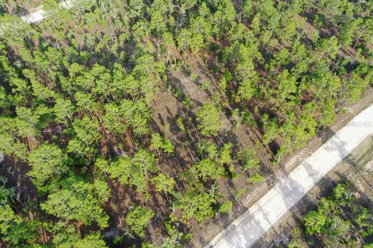 0000 NE 131 LOT 7 TER, WILLISTON, FL — photo 2
