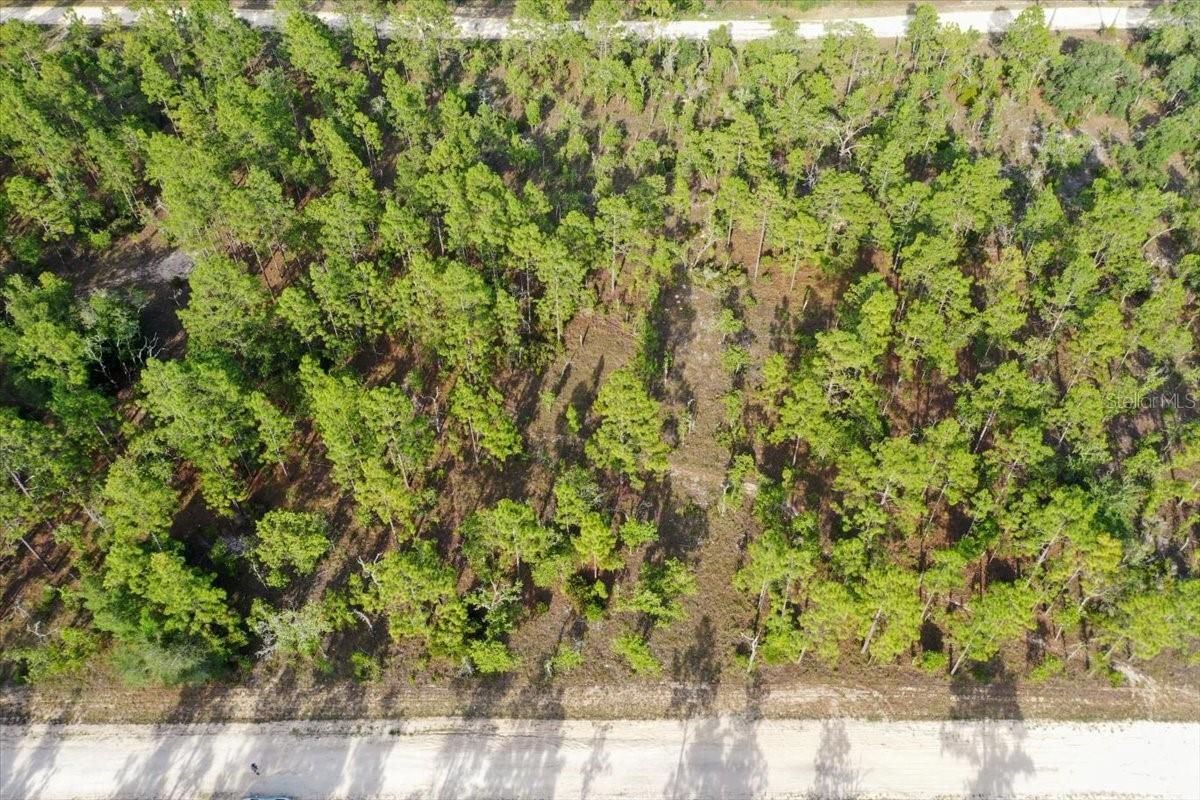 0000 NE 131 LOT 7 TER, WILLISTON, FL — photo 3