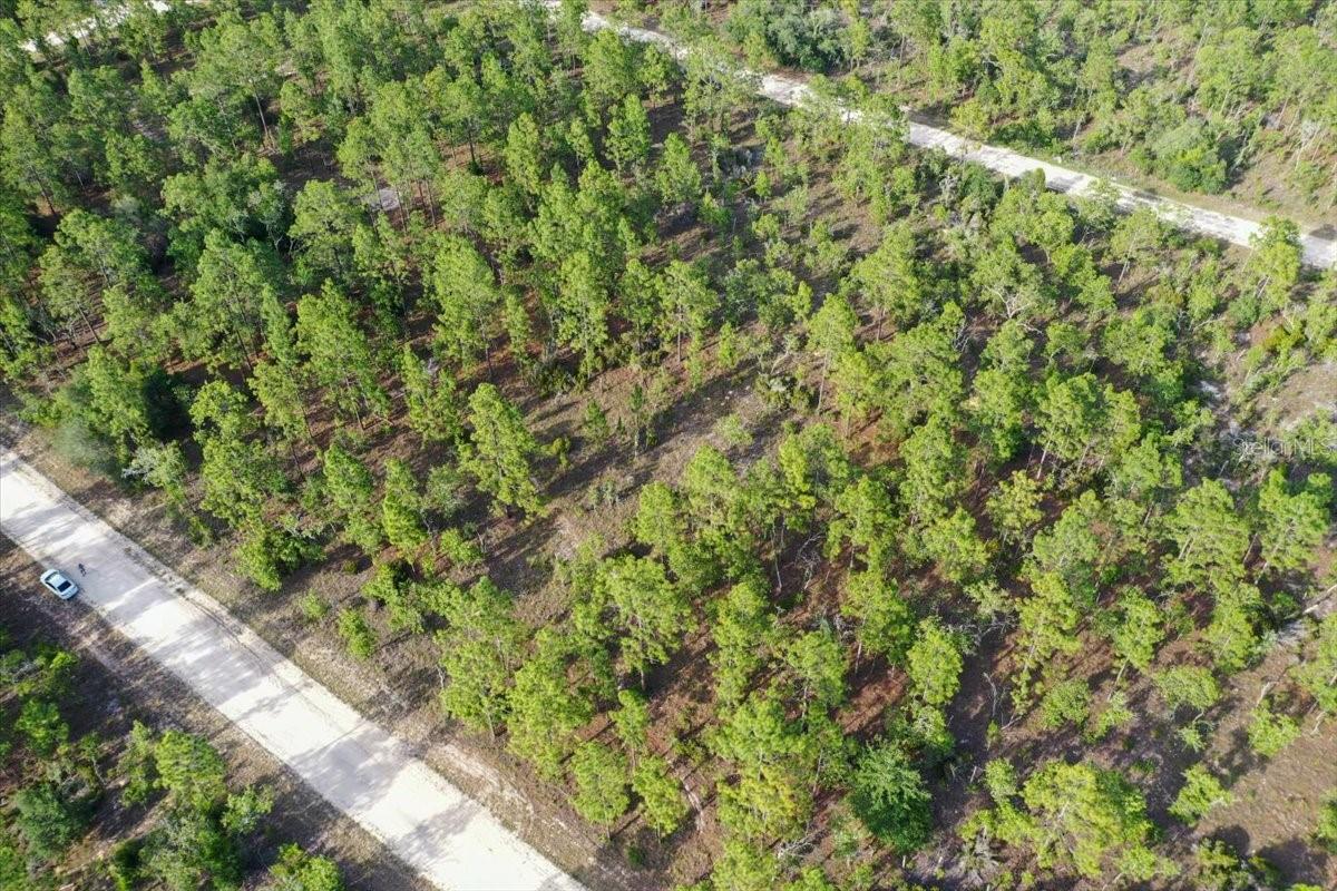 0000 NE 131 LOT 7 TER, WILLISTON, FL — photo 4