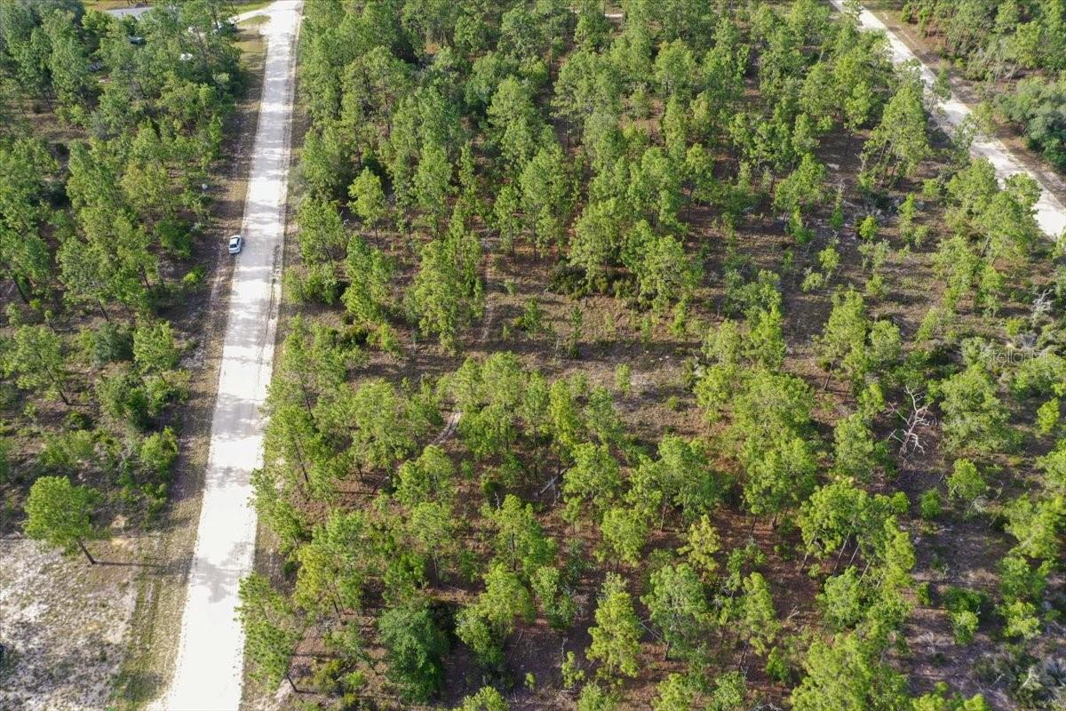 0000 NE 131 LOT 7 TER, WILLISTON, FL — photo 5