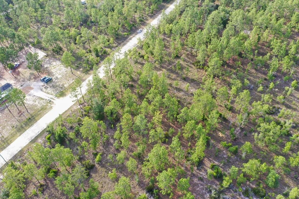 0000 NE 131 LOT 7 TER, WILLISTON, FL — photo 6
