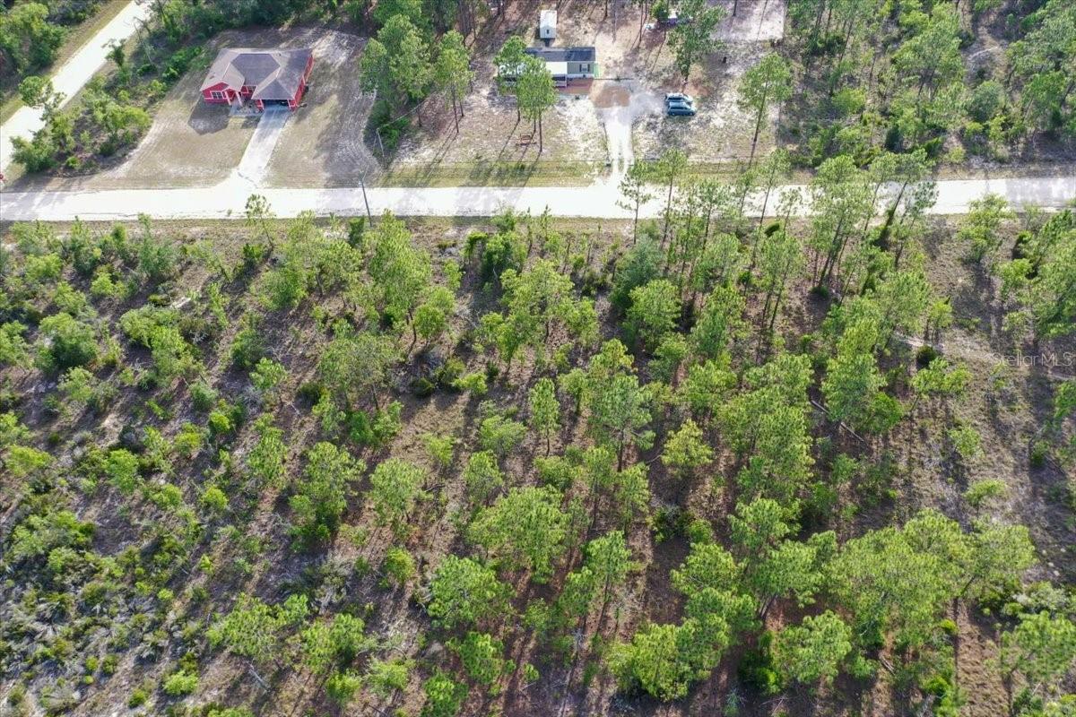 0000 NE 131 LOT 7 TER, WILLISTON, FL — photo 7