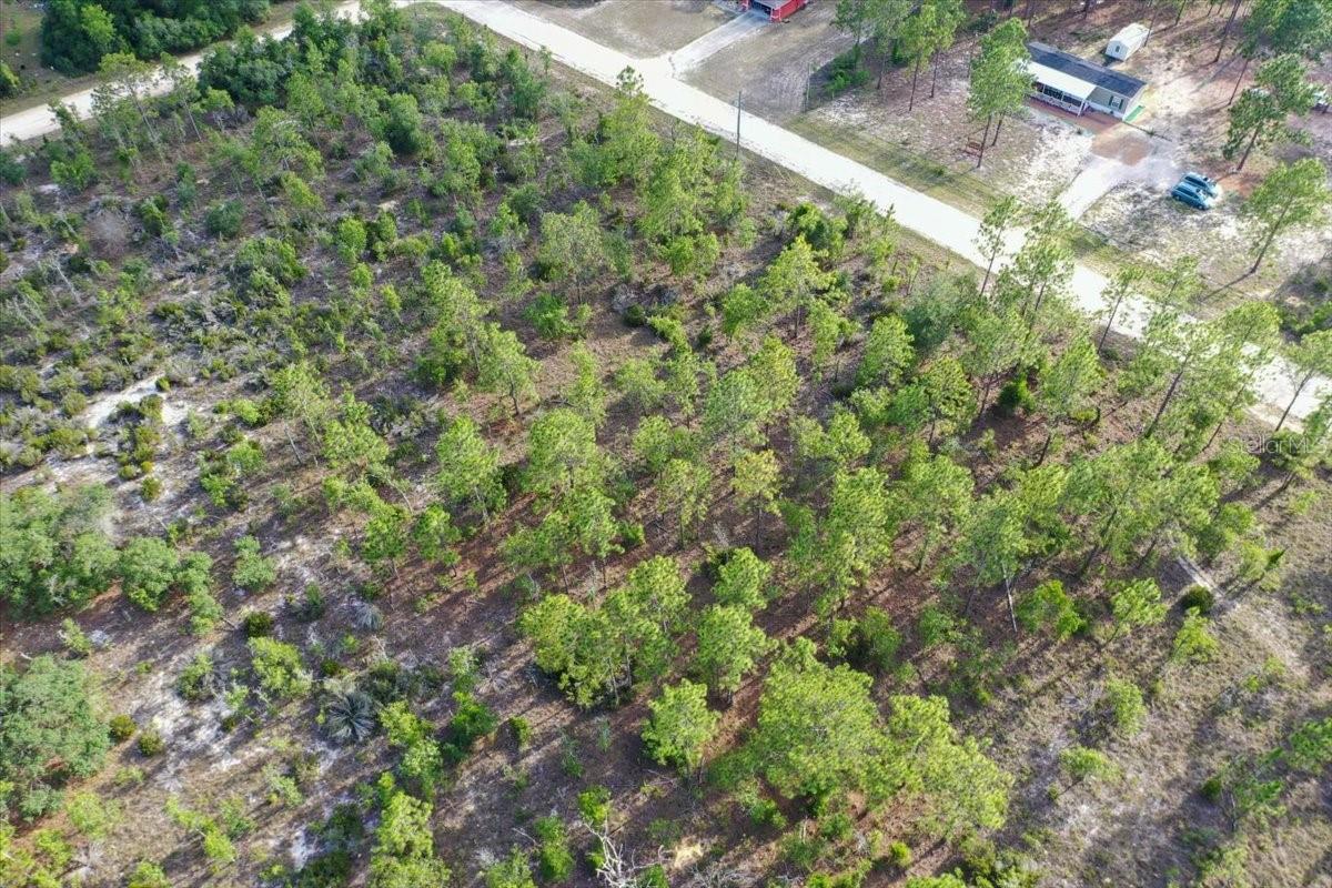 0000 NE 131 LOT 7 TER, WILLISTON, FL — photo 8
