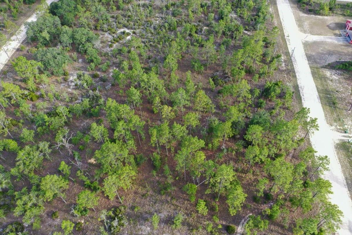 0000 NE 131 LOT 7 TER, WILLISTON, FL — photo 9