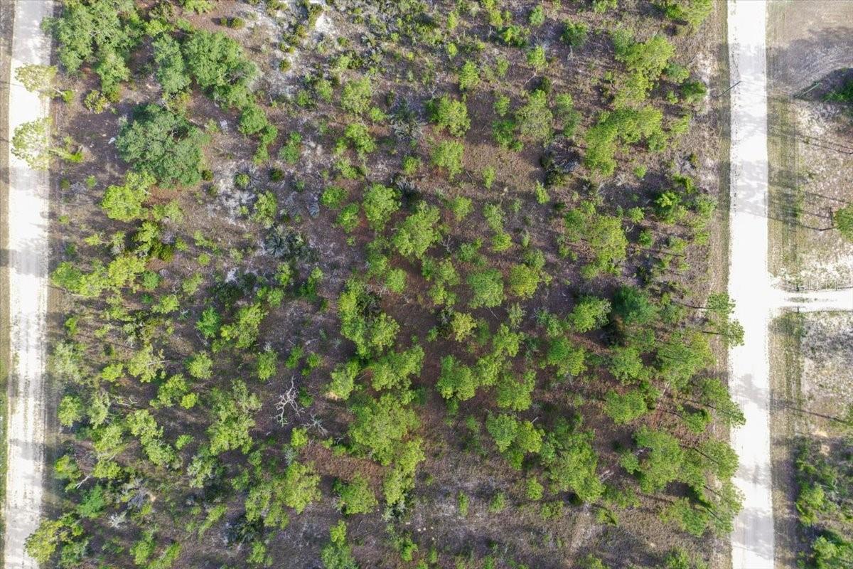 0000 NE 131 LOT 7 TER, WILLISTON, FL — photo 10